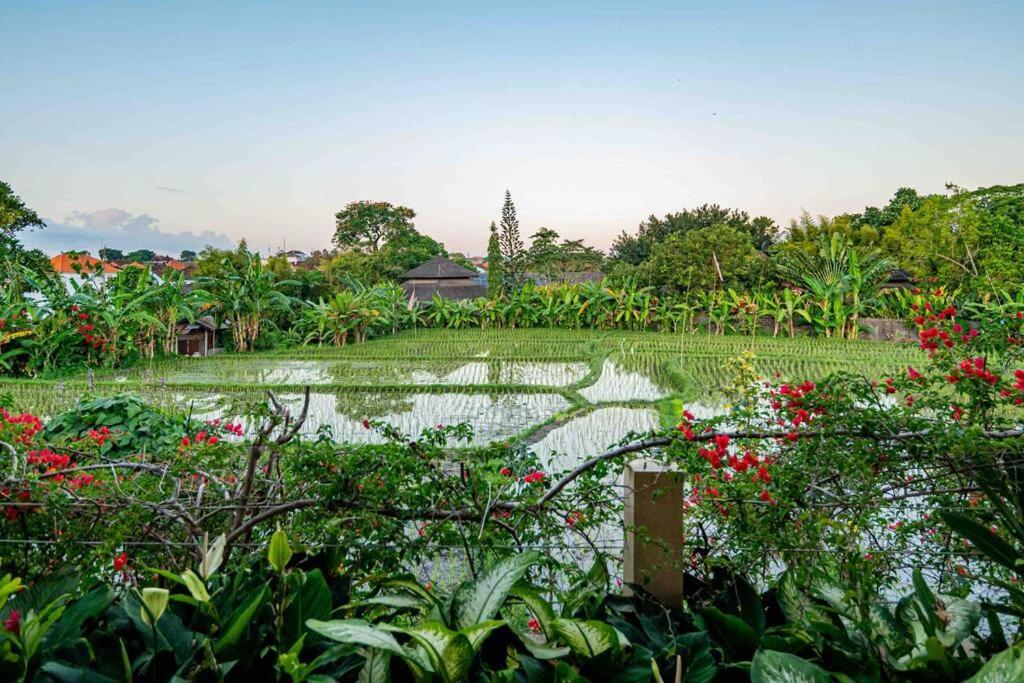 Villa Mimpi Nyata Canggu Extérieur photo