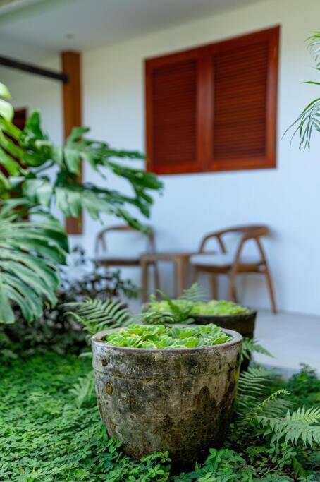 Villa Mimpi Nyata Canggu Extérieur photo