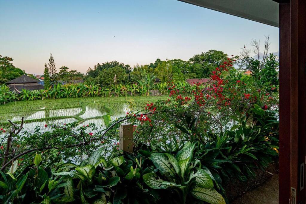 Villa Mimpi Nyata Canggu Extérieur photo